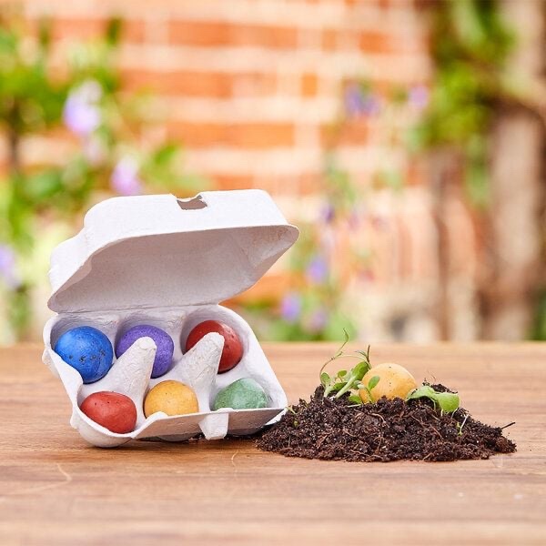 Osterblumen von "Die Stadtgärtner" | 6 bunte Blumenmurmeln im Mini-Eierkarton